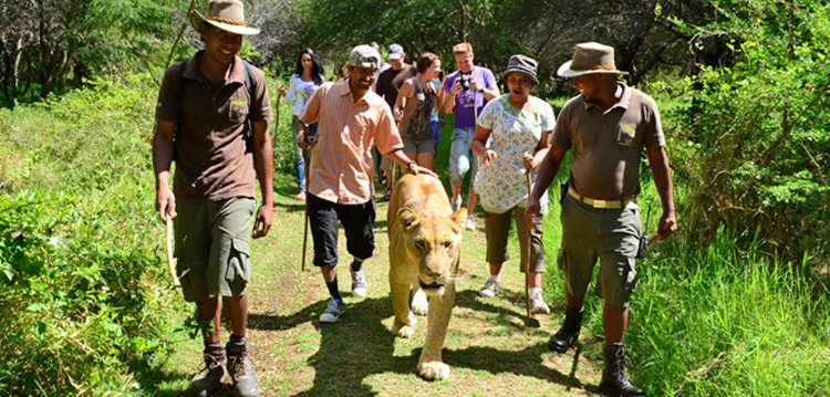 casela-nature-park-cascavelle-mauritius