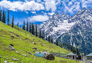 Kashmir WIthout Delhi Sightseeing